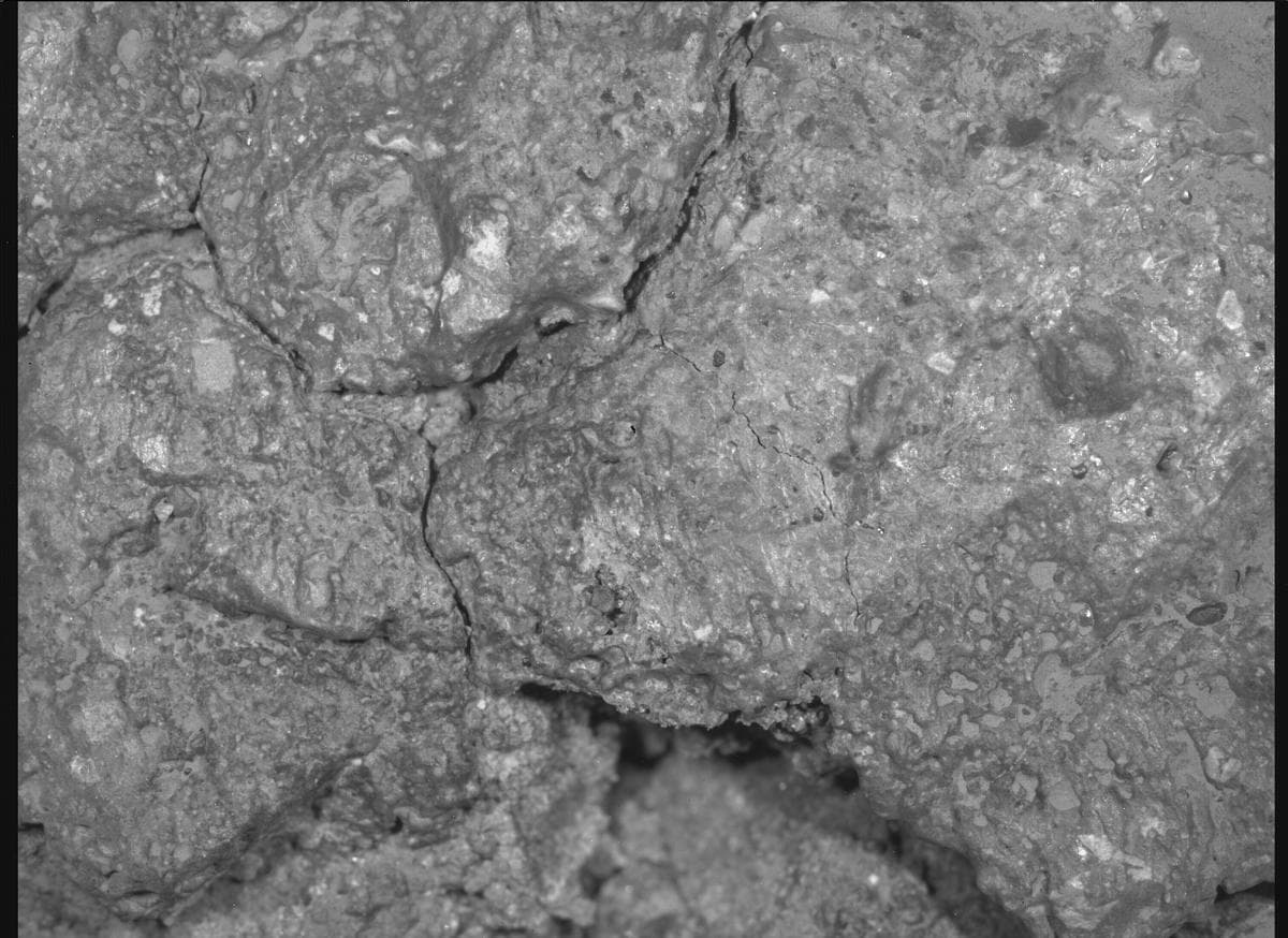 Mars image captured by SHERLOC_WATSON on Perseverance