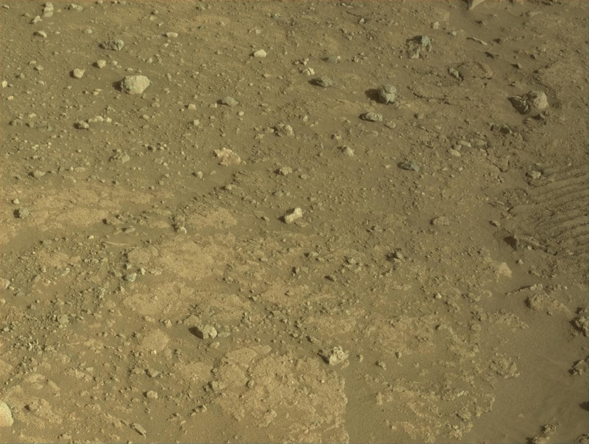 Mars image captured by NAVCAM_LEFT on Perseverance
