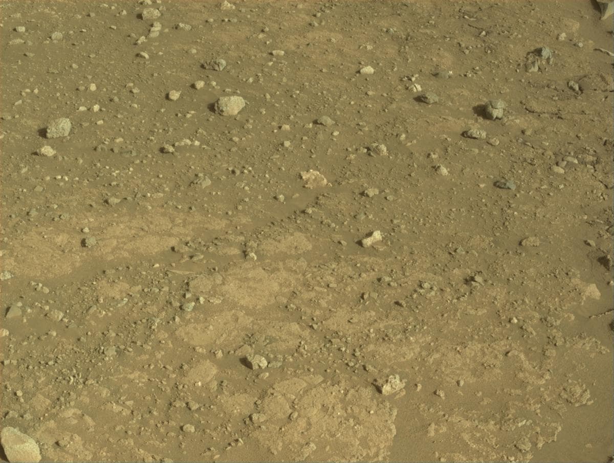 Mars image captured by NAVCAM_RIGHT on Perseverance