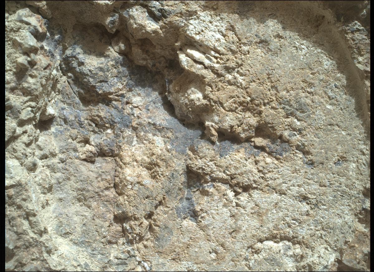 Mars image captured by SHERLOC_WATSON on Perseverance