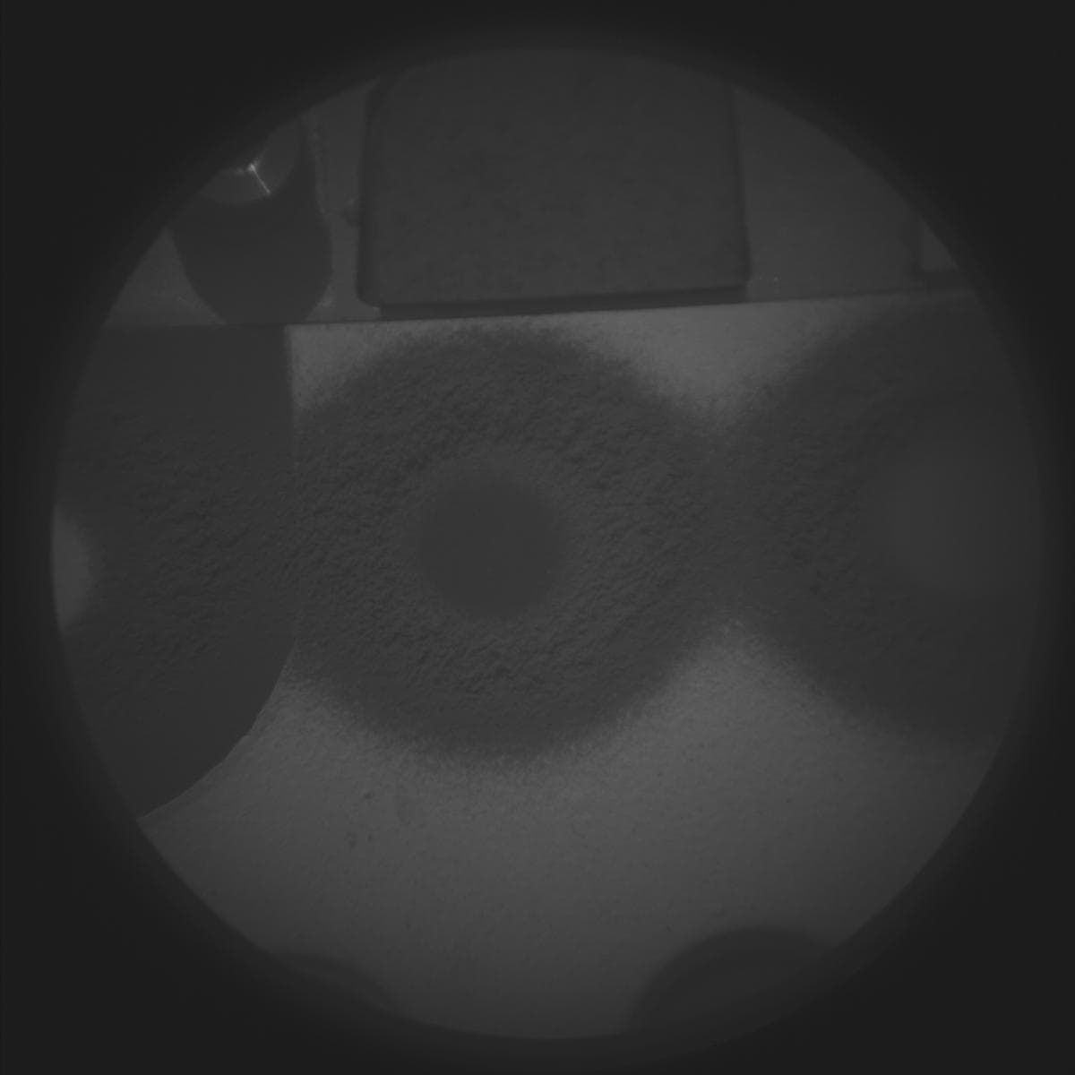 Mars image captured by SUPERCAM_RMI on Perseverance
