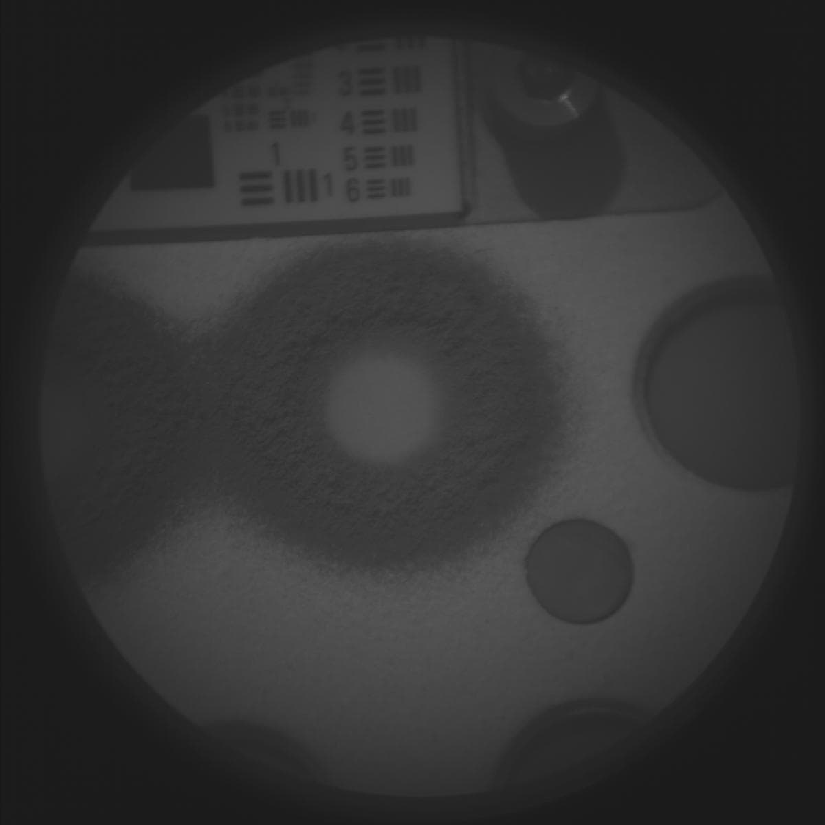 Mars image captured by SUPERCAM_RMI on Perseverance