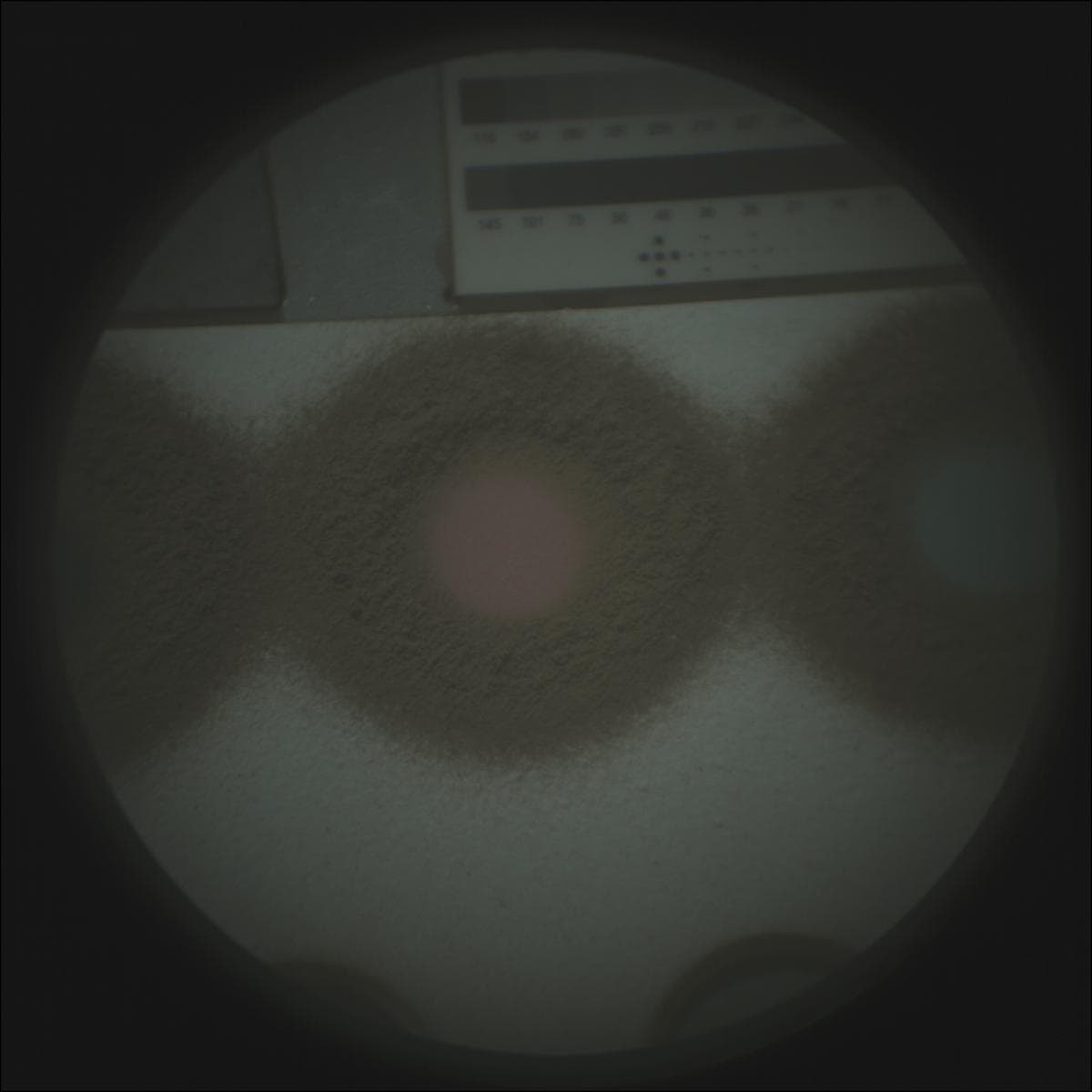Mars image captured by SUPERCAM_RMI on Perseverance