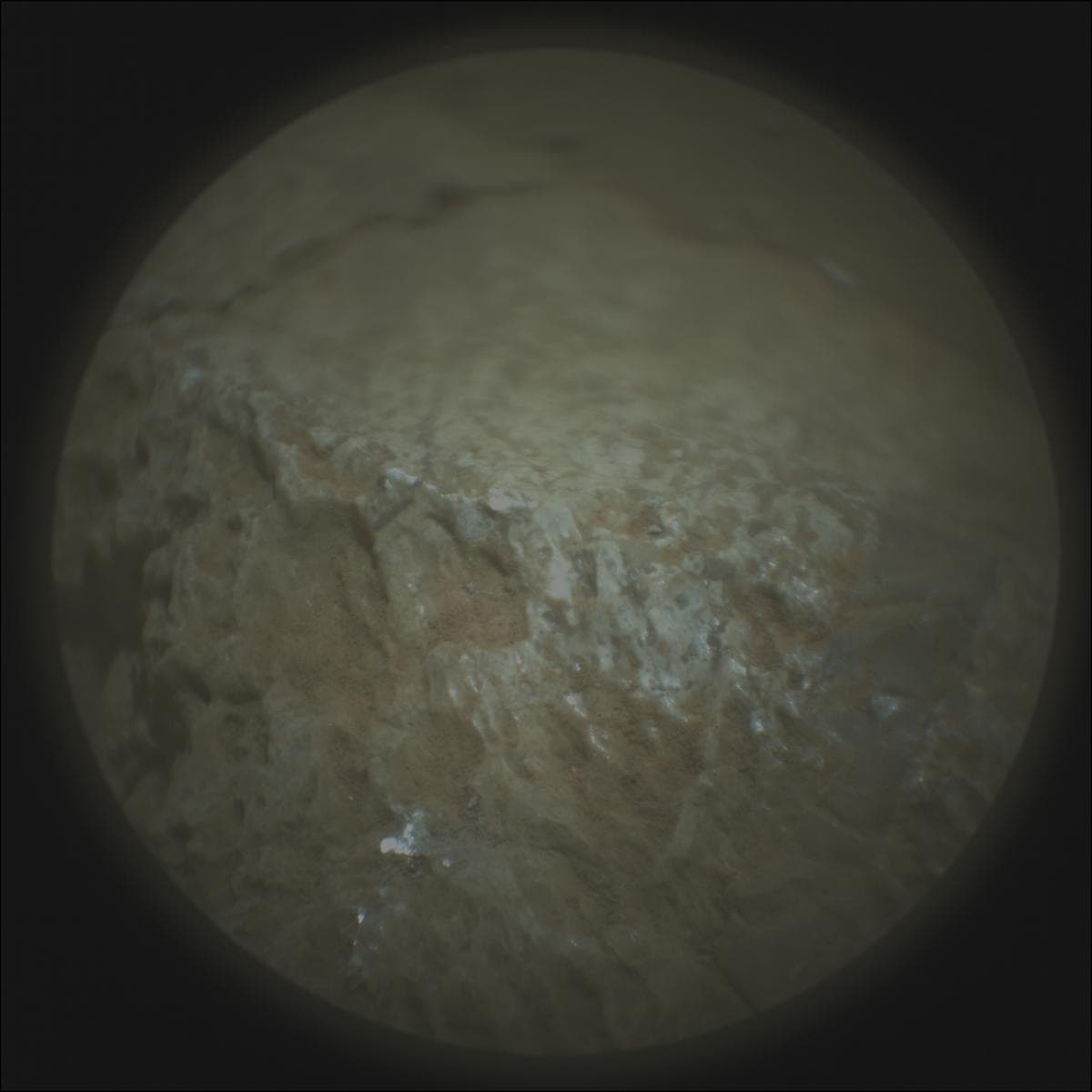 Mars image captured by SUPERCAM_RMI on Perseverance