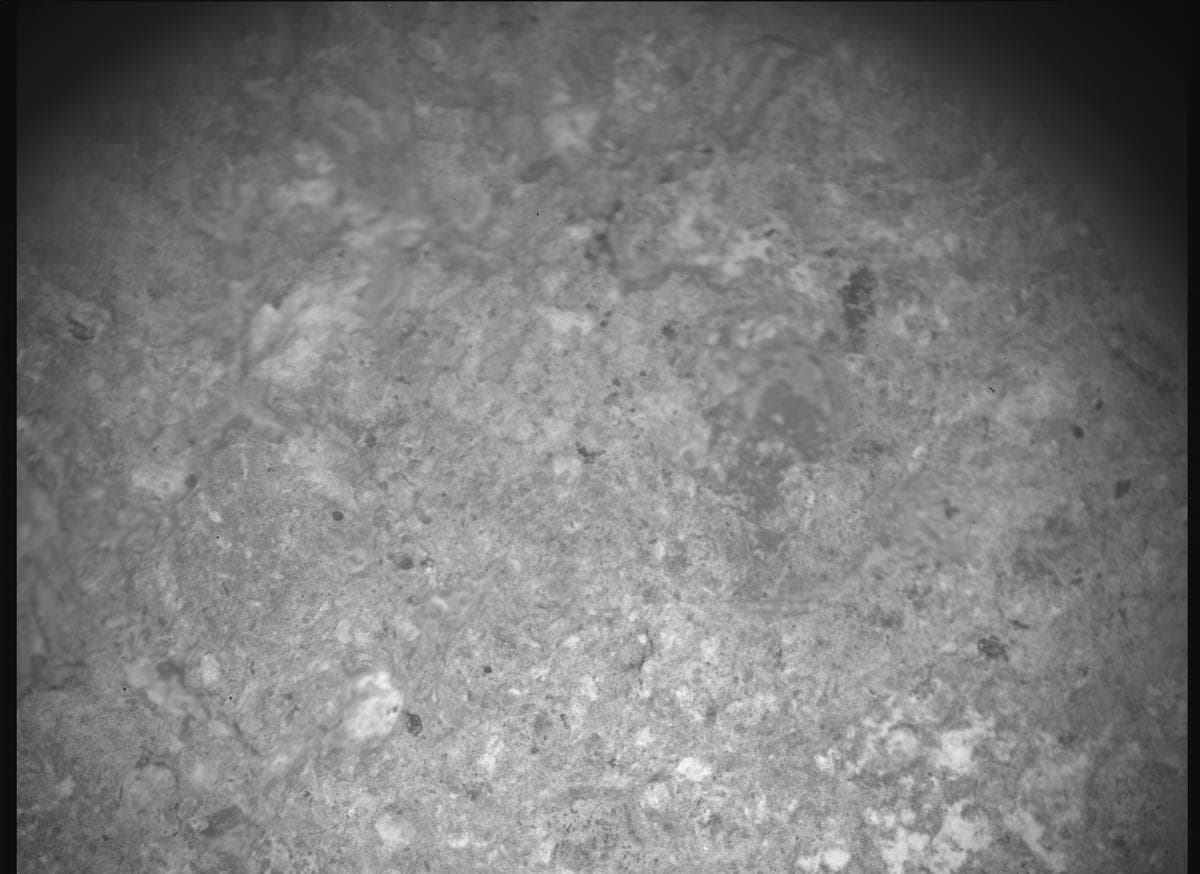 Mars image captured by SHERLOC_ACI on Perseverance