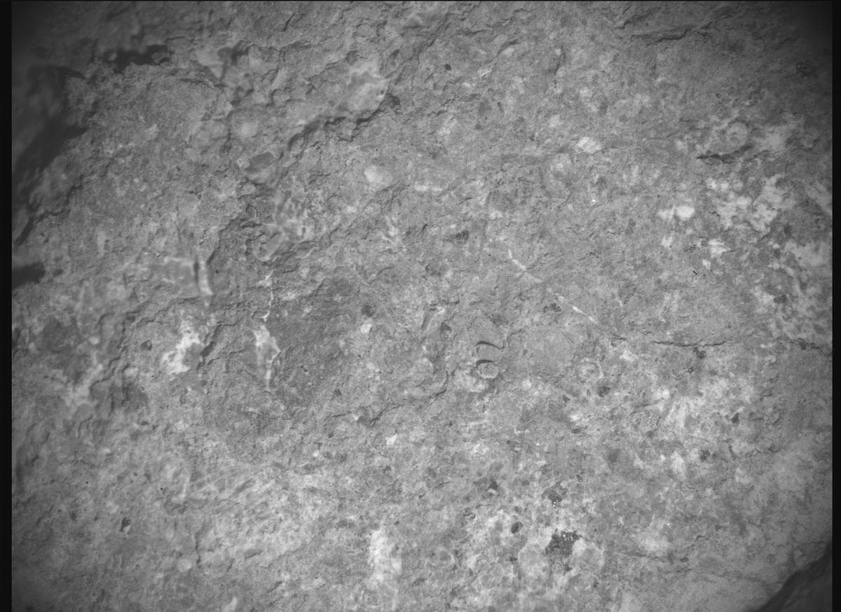 Mars image captured by SHERLOC_ACI on Perseverance