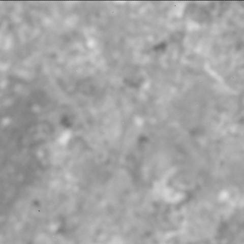 Mars rover photo