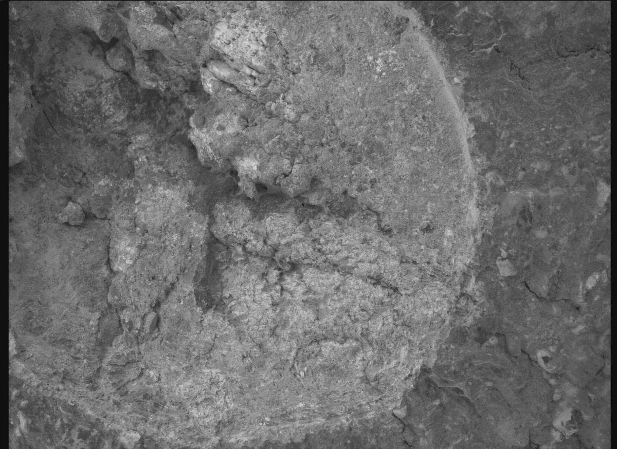 Mars image captured by SHERLOC_WATSON on Perseverance