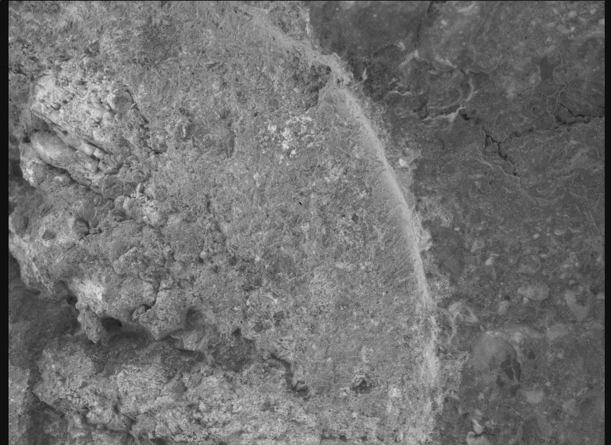 Mars image captured by SHERLOC_WATSON on Perseverance