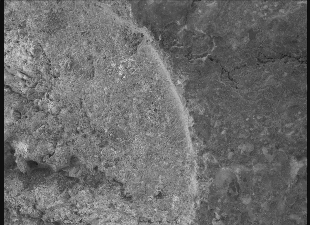 Mars image captured by SHERLOC_WATSON on Perseverance
