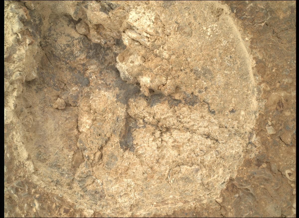 Mars image captured by SHERLOC_WATSON on Perseverance