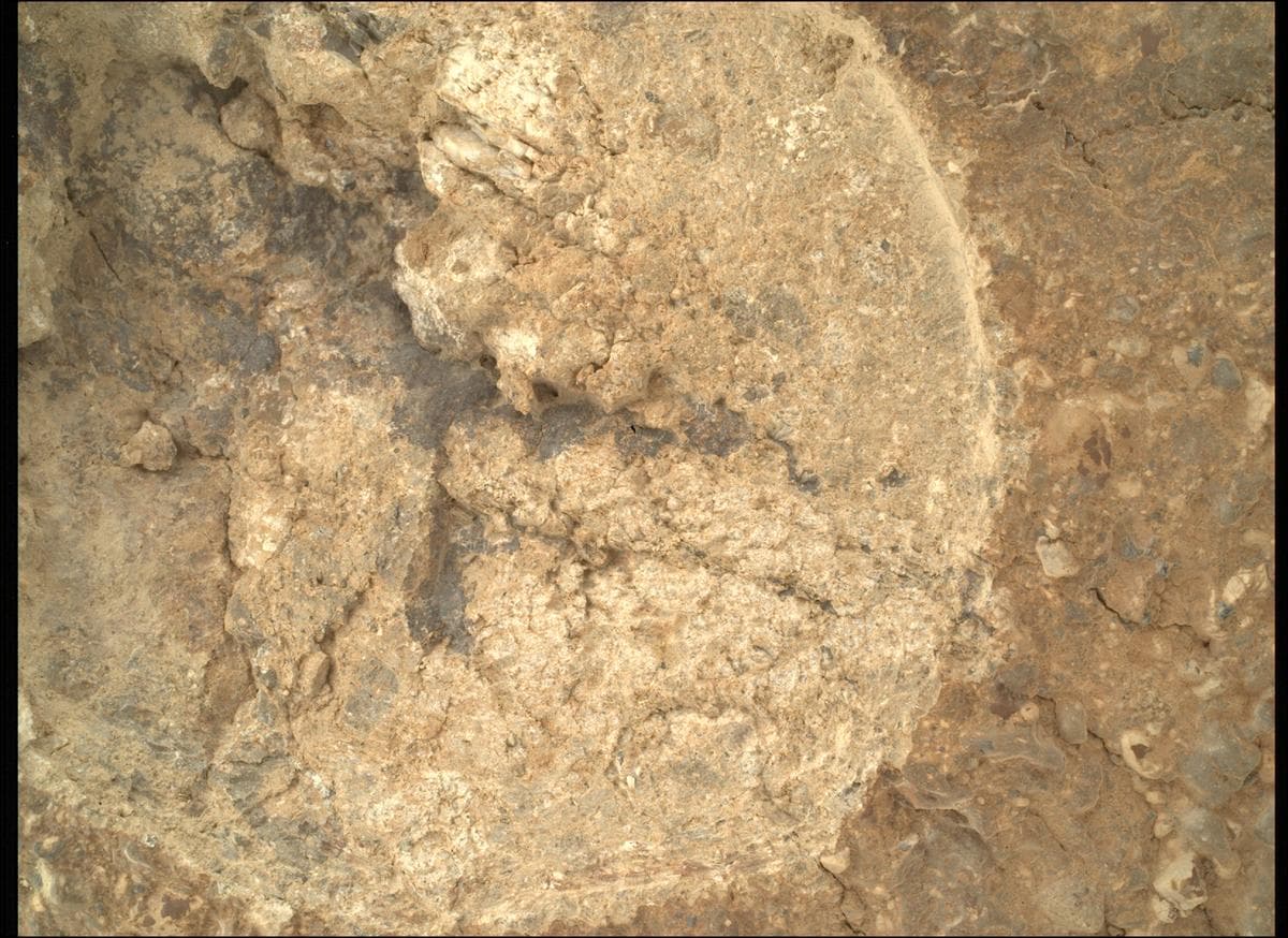 Mars image captured by SHERLOC_WATSON on Perseverance