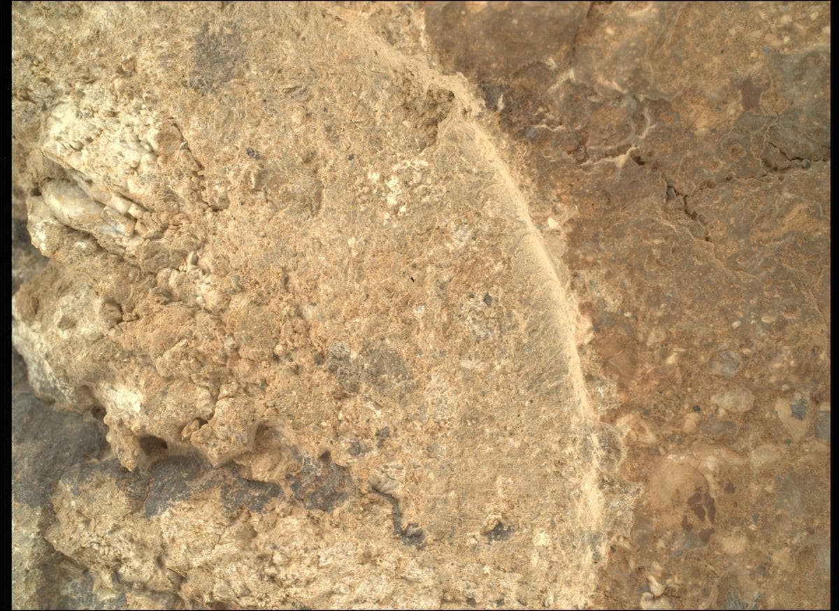 Mars image captured by SHERLOC_WATSON on Perseverance