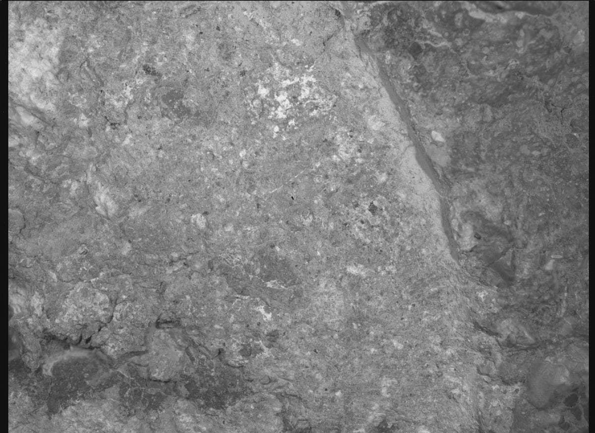 Mars image captured by SHERLOC_WATSON on Perseverance