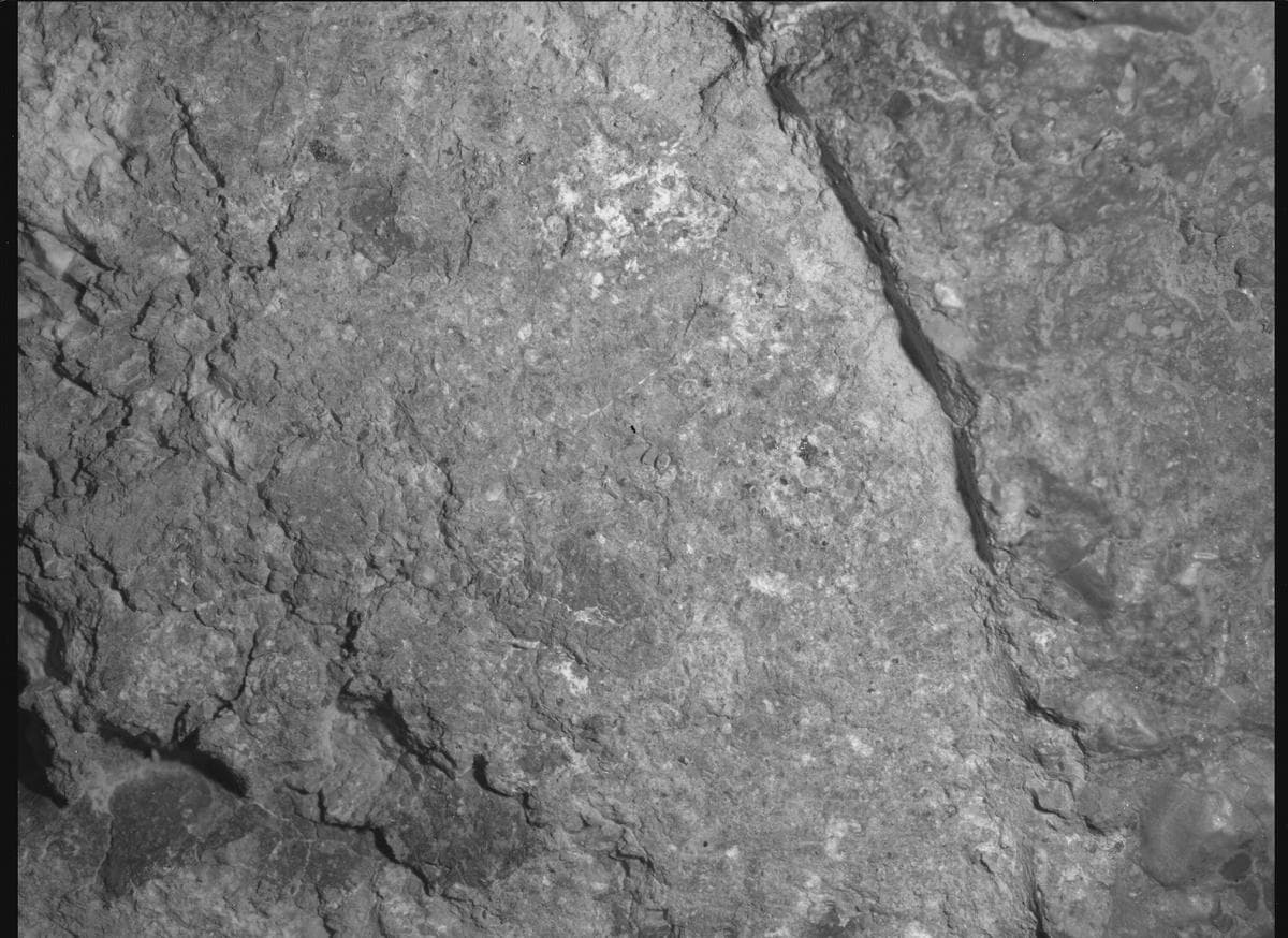 Mars image captured by SHERLOC_WATSON on Perseverance