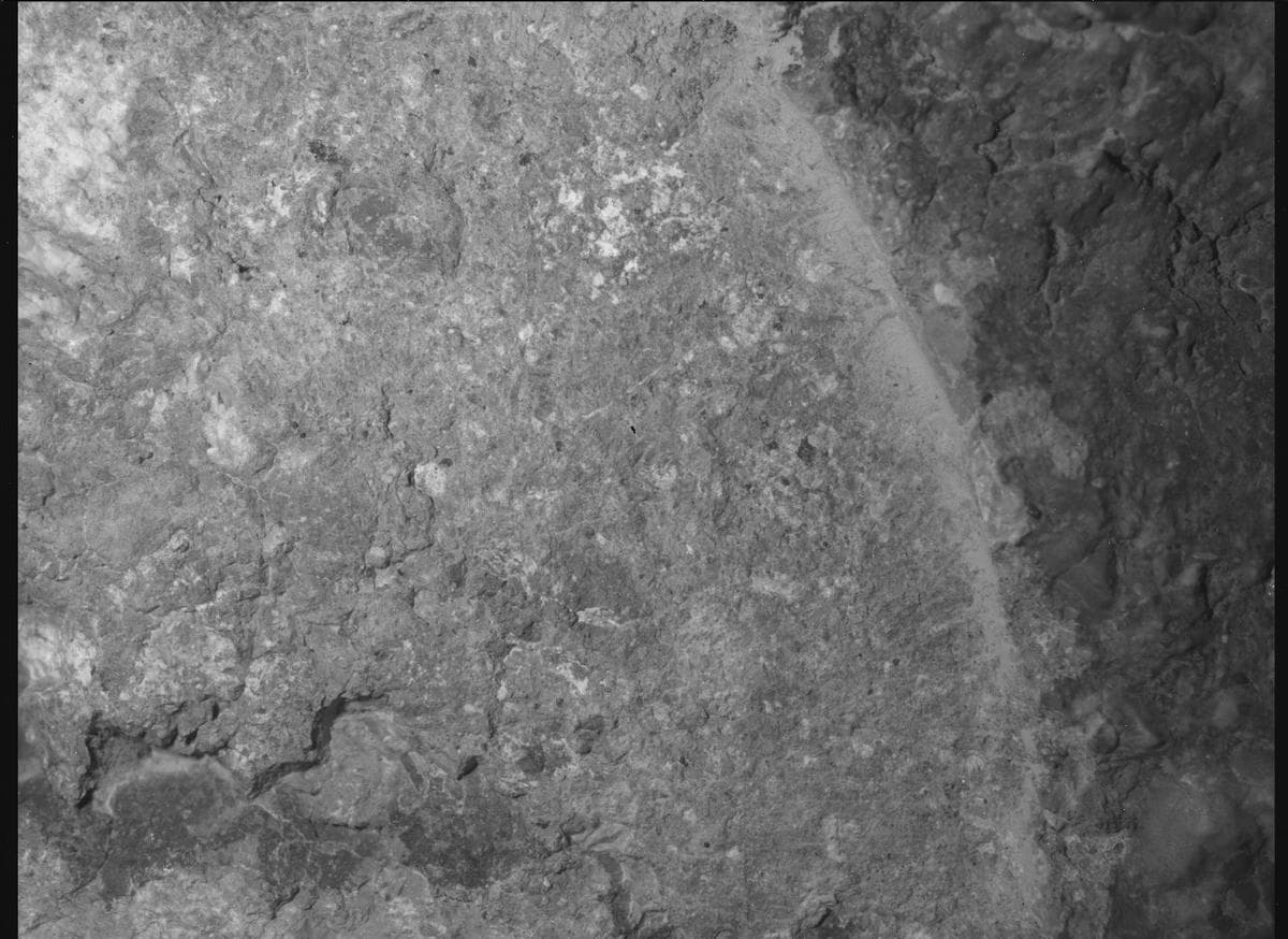 Mars image captured by SHERLOC_WATSON on Perseverance