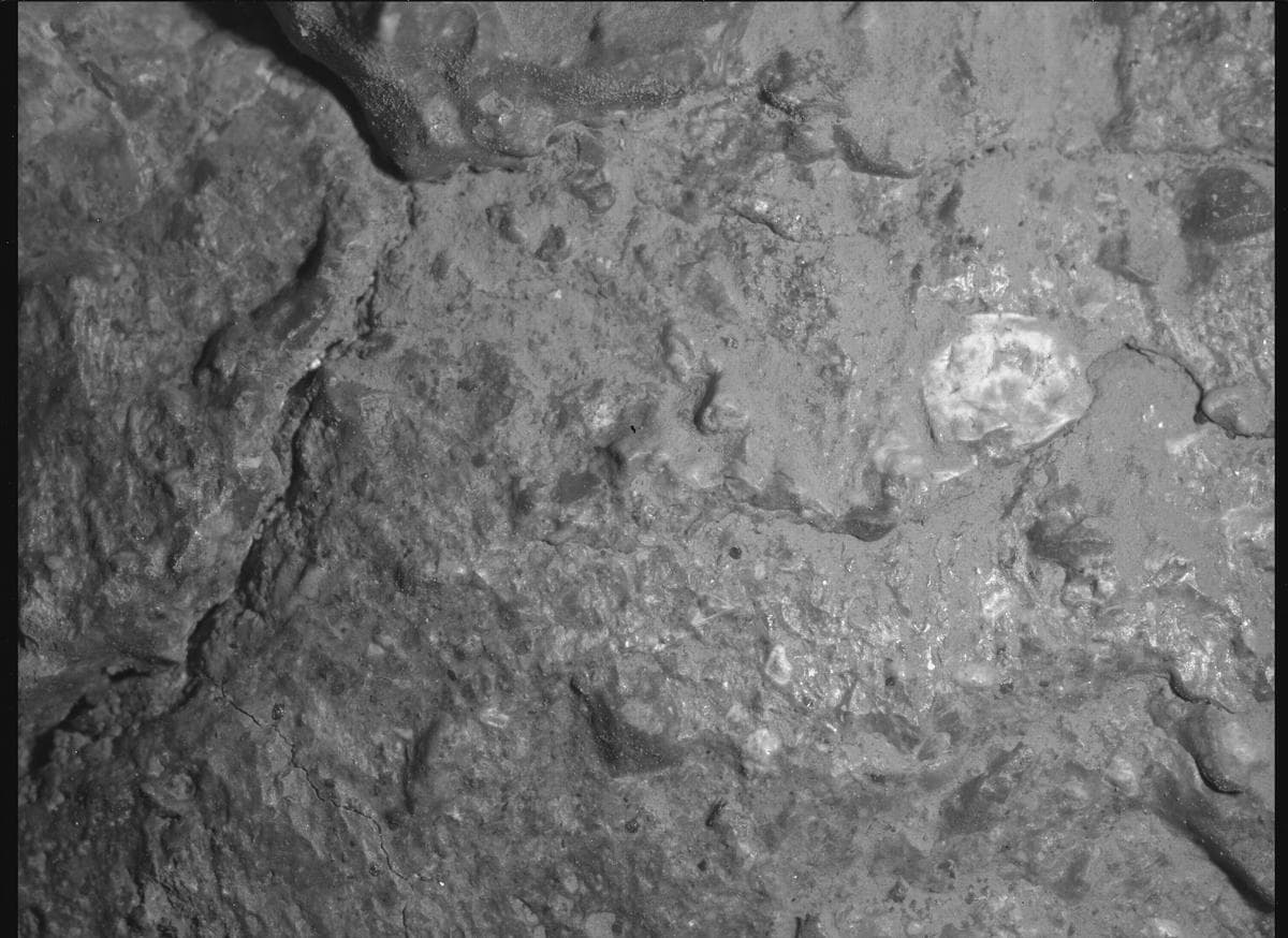 Mars image captured by SHERLOC_WATSON on Perseverance