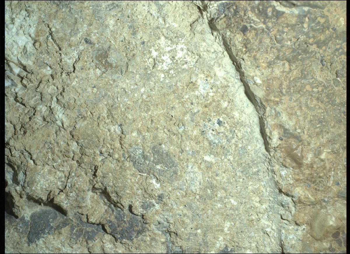 Mars image captured by SHERLOC_WATSON on Perseverance