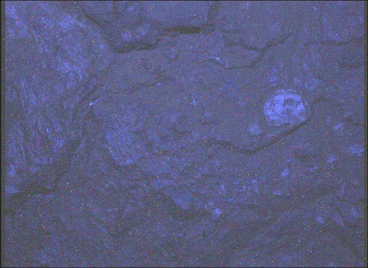 Mars image captured by SHERLOC_WATSON on Perseverance