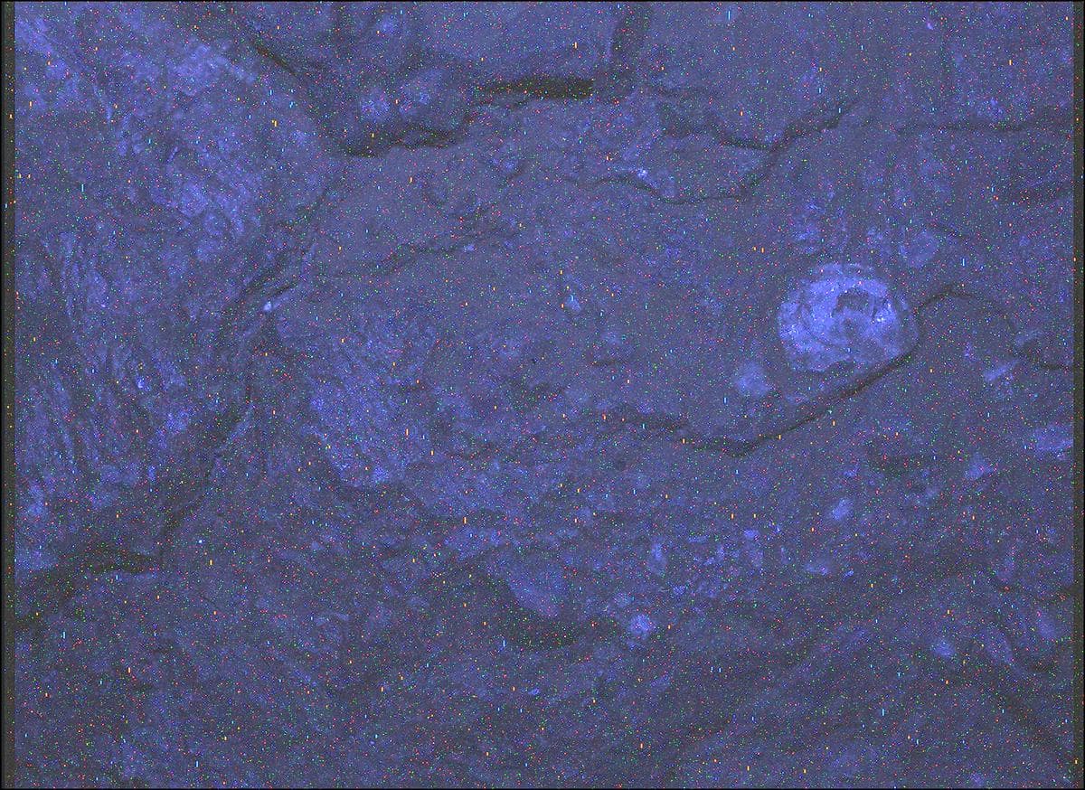 Mars image captured by SHERLOC_WATSON on Perseverance