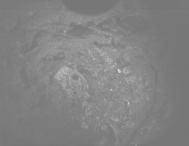 Mars image captured by PIXL_MCC on Perseverance