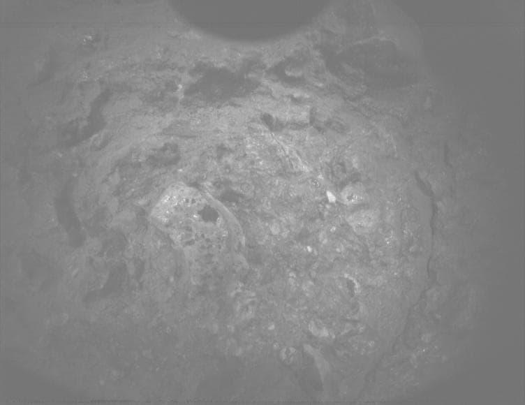 Mars image captured by PIXL_MCC on Perseverance