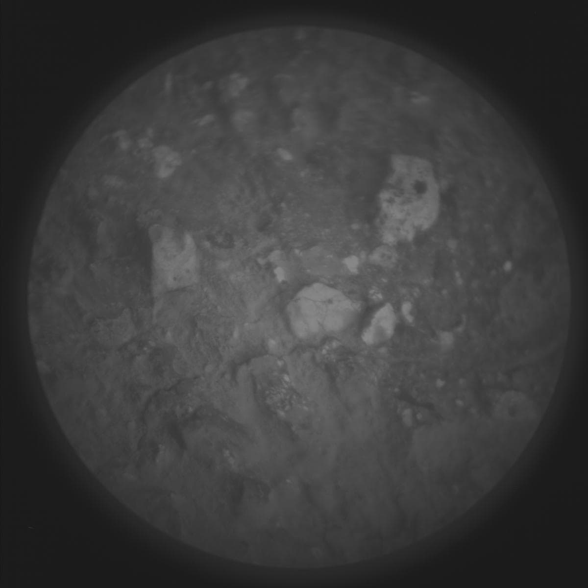 Mars image captured by SUPERCAM_RMI on Perseverance