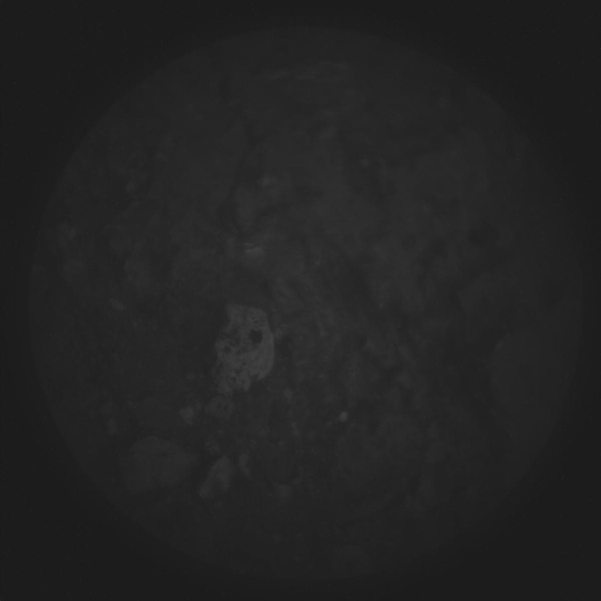 Mars image captured by SUPERCAM_RMI on Perseverance