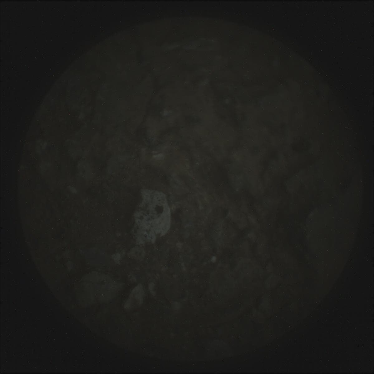 Mars image captured by SUPERCAM_RMI on Perseverance
