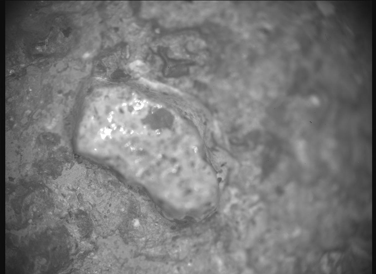 Mars image captured by SHERLOC_ACI on Perseverance