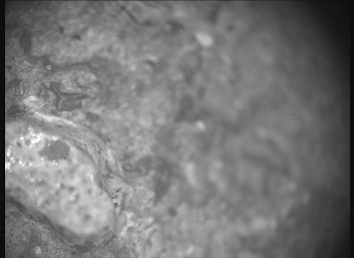 Mars image captured by SHERLOC_ACI on Perseverance