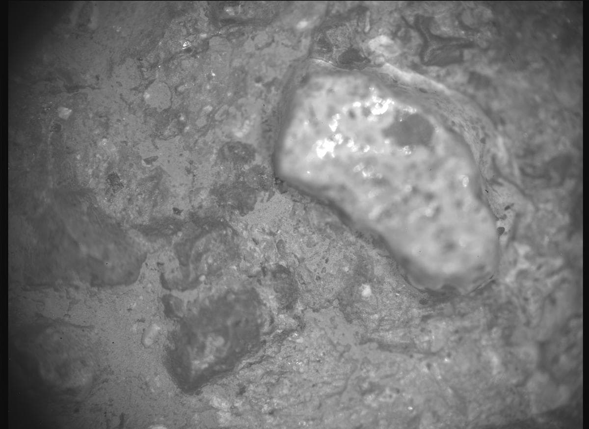 Mars image captured by SHERLOC_ACI on Perseverance