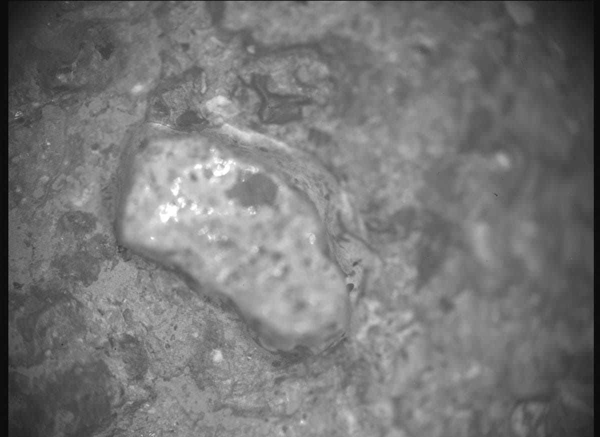 Mars image captured by SHERLOC_ACI on Perseverance