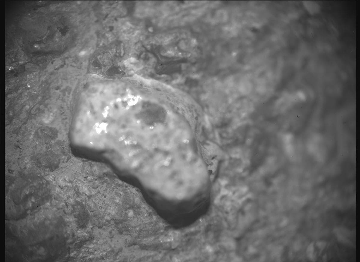 Mars image captured by SHERLOC_ACI on Perseverance