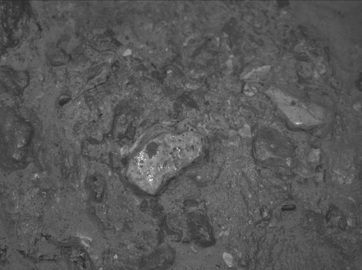 Mars image captured by SHERLOC_WATSON on Perseverance