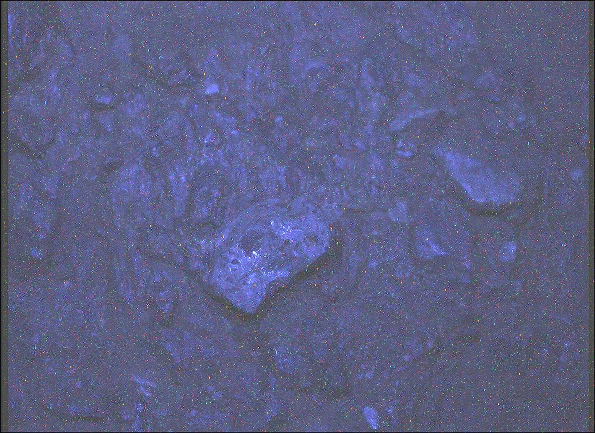 Mars image captured by SHERLOC_WATSON on Perseverance