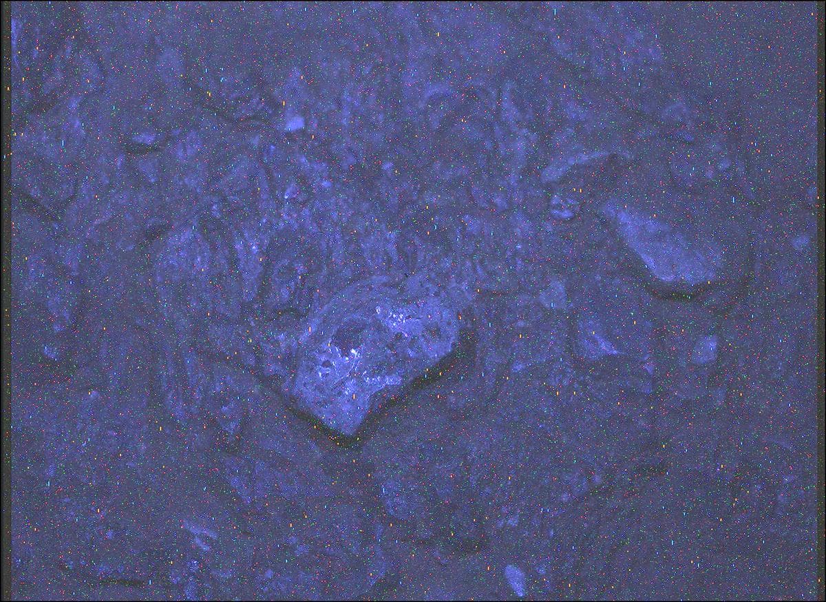 Mars image captured by SHERLOC_WATSON on Perseverance