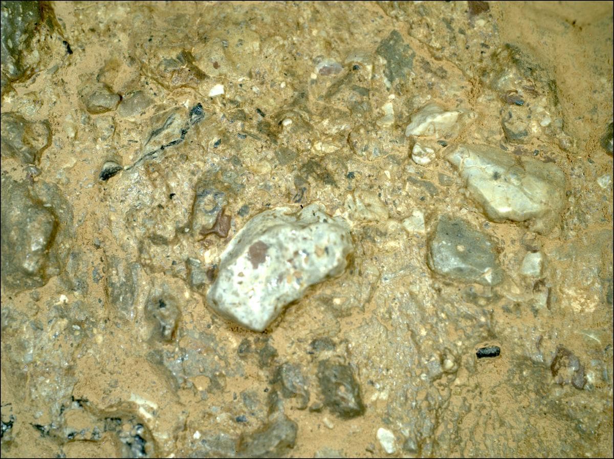 Mars image captured by SHERLOC_WATSON on Perseverance