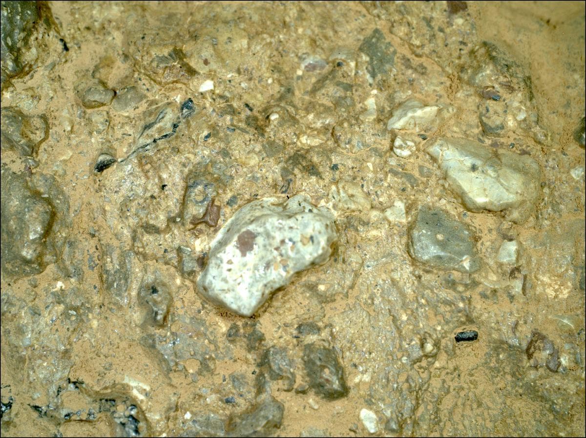 Mars image captured by SHERLOC_WATSON on Perseverance