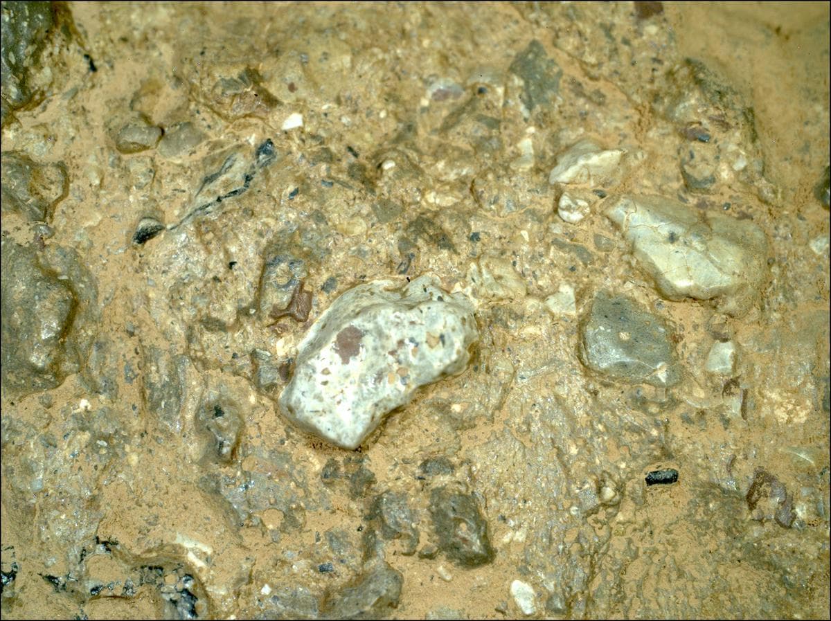 Mars image captured by SHERLOC_WATSON on Perseverance