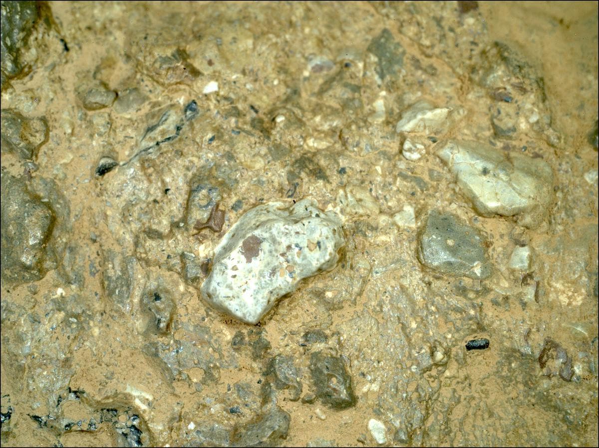 Mars image captured by SHERLOC_WATSON on Perseverance