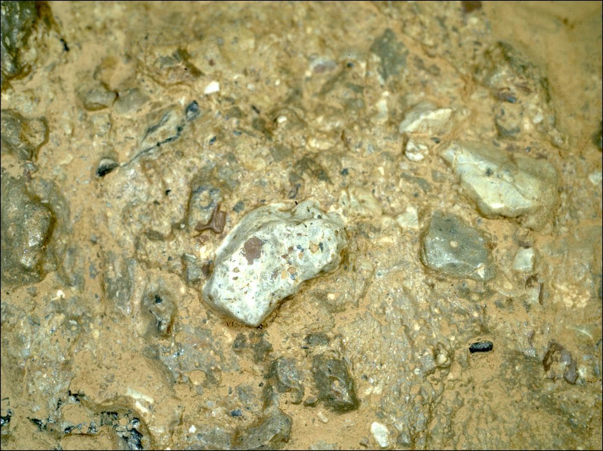 Mars image captured by SHERLOC_WATSON on Perseverance
