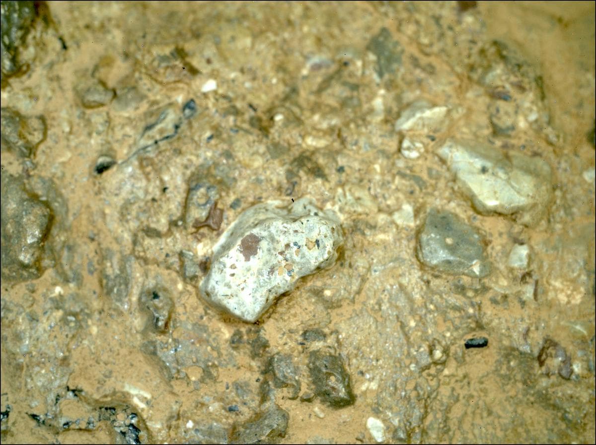 Mars image captured by SHERLOC_WATSON on Perseverance