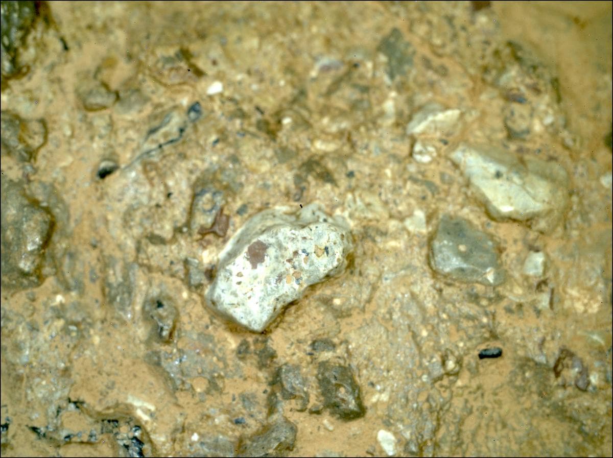 Mars image captured by SHERLOC_WATSON on Perseverance