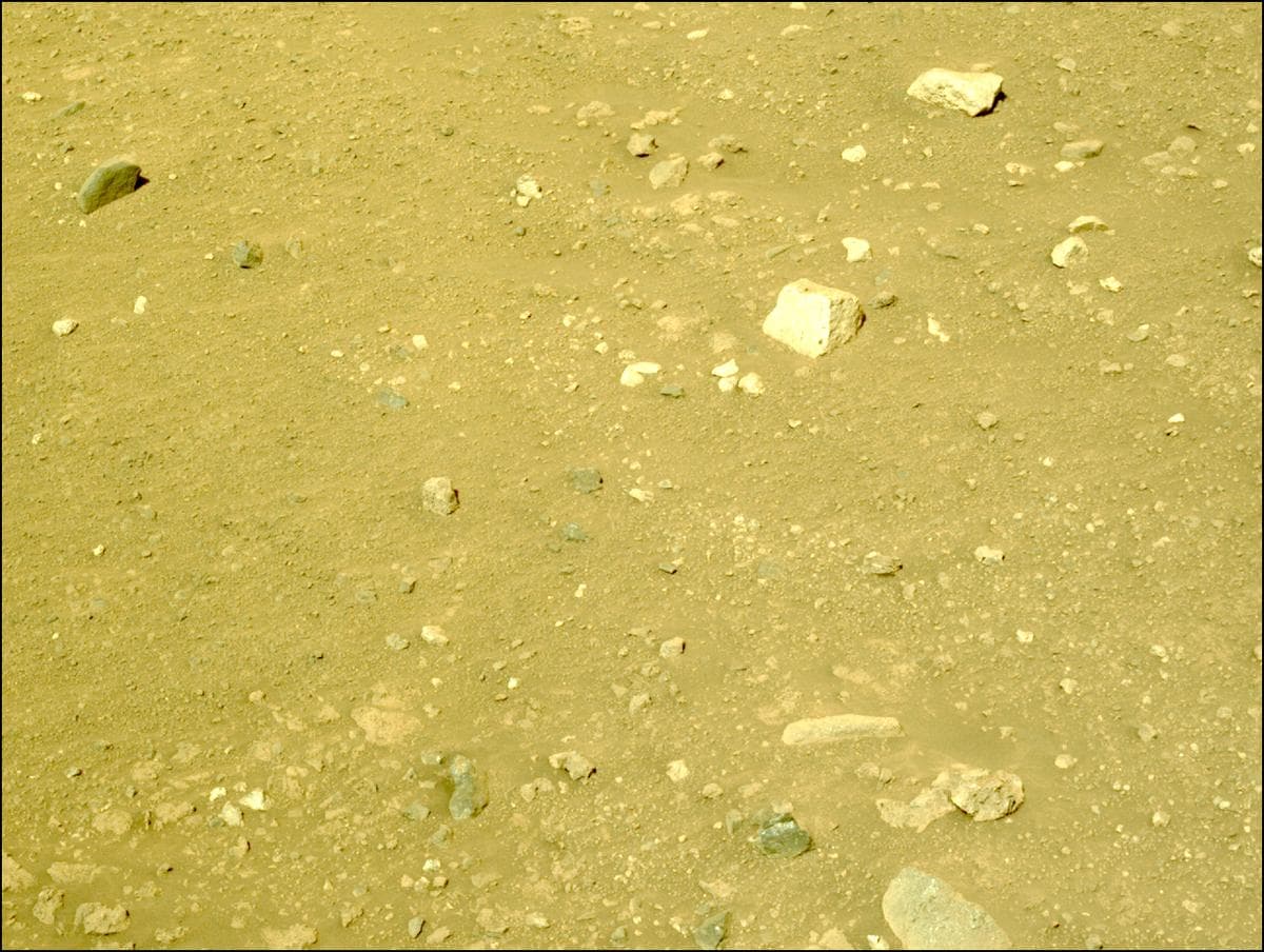 Mars image captured by NAVCAM_LEFT on Perseverance