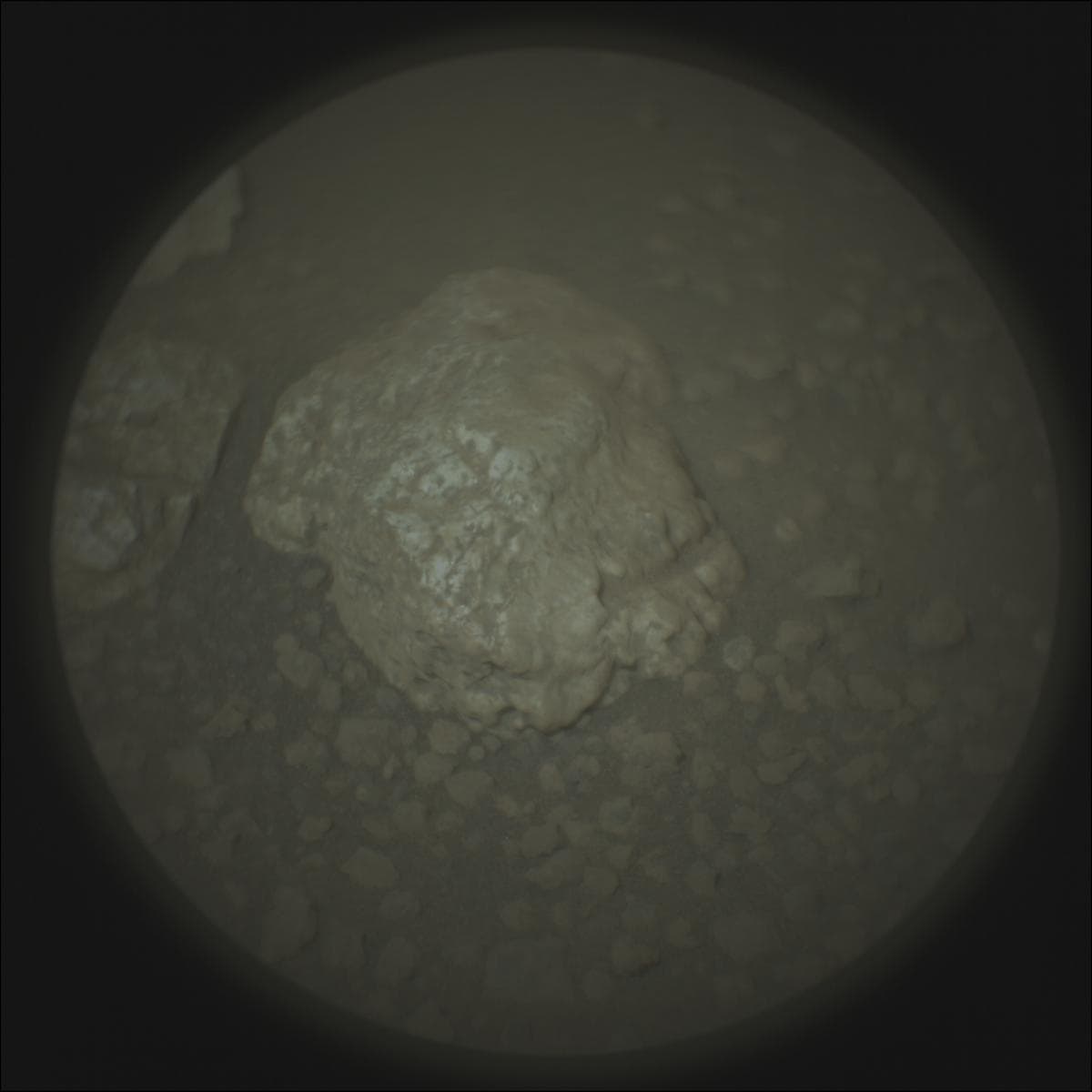 Mars image captured by SUPERCAM_RMI on Perseverance