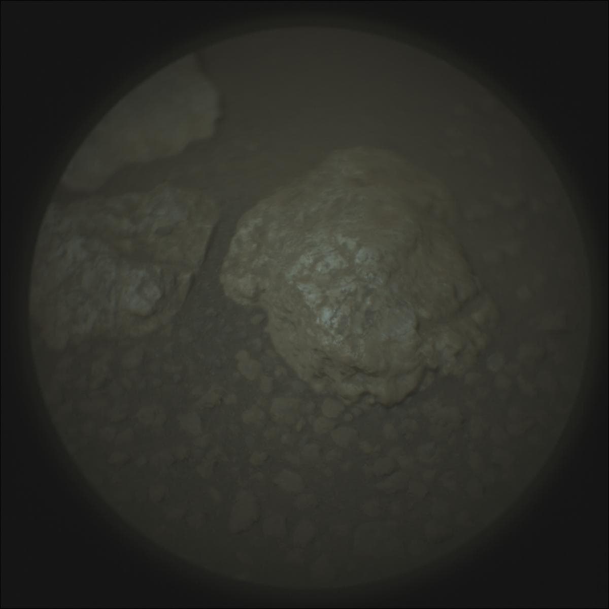 Mars image captured by SUPERCAM_RMI on Perseverance