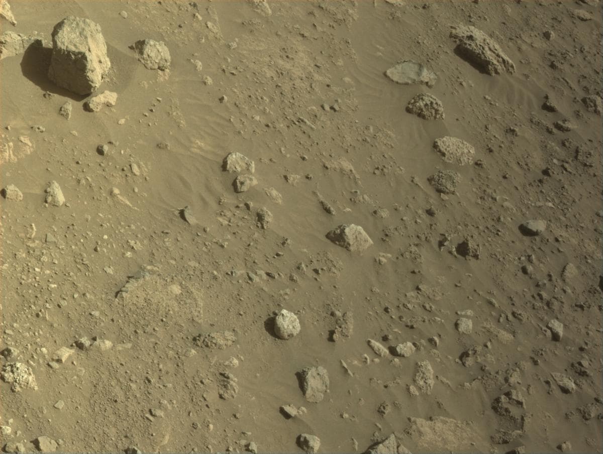 Mars image captured by NAVCAM_LEFT on Perseverance