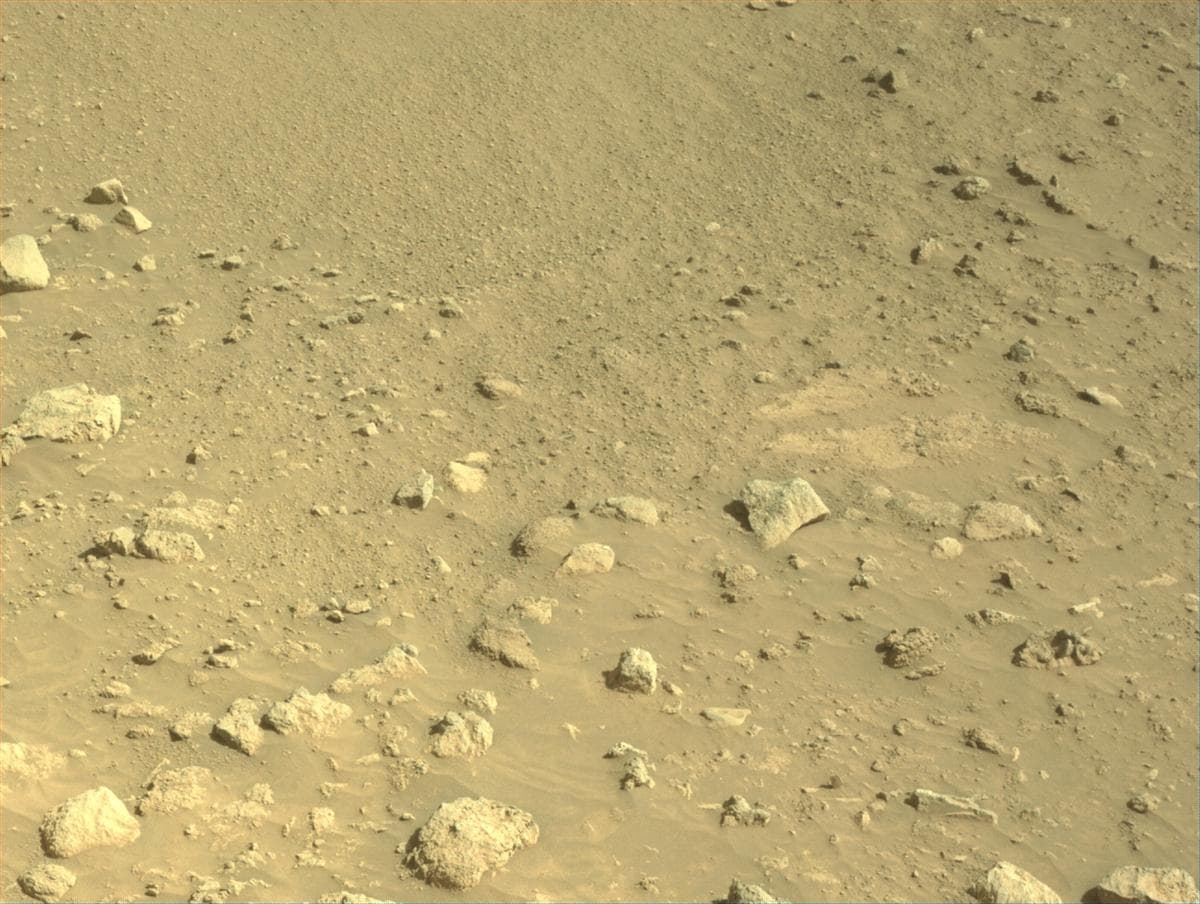 Mars image captured by NAVCAM_LEFT on Perseverance