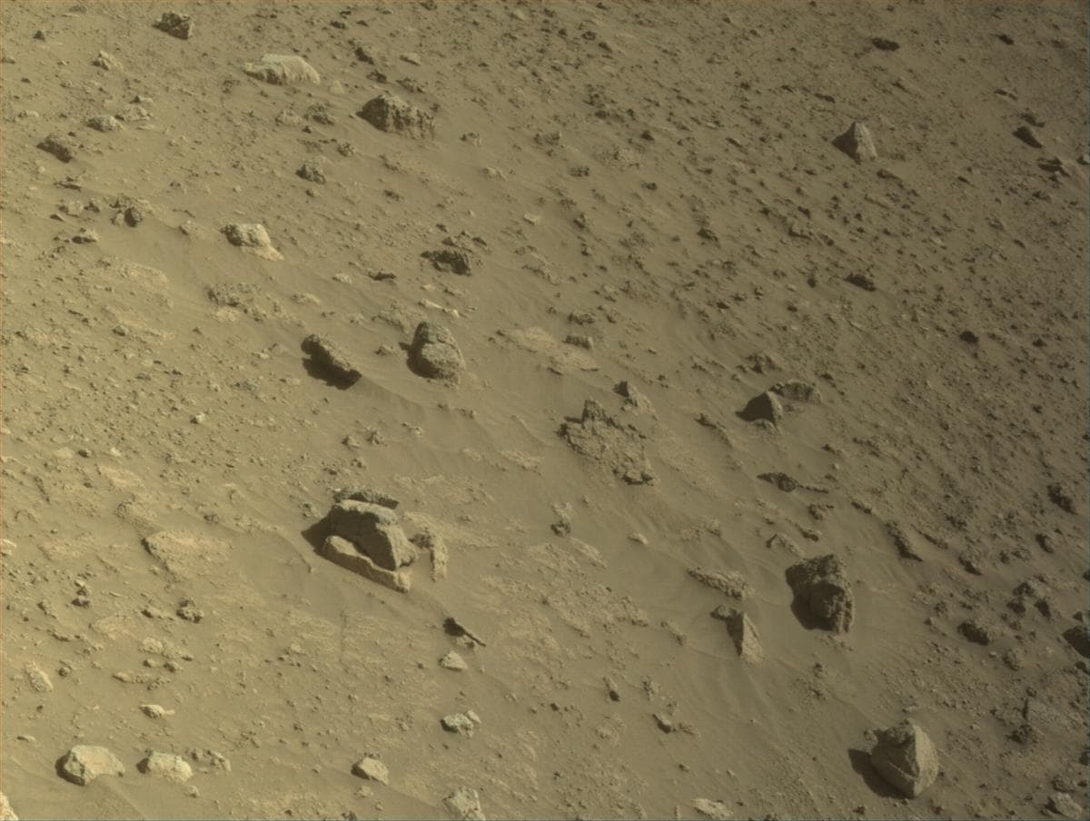 Mars image captured by NAVCAM_LEFT on Perseverance